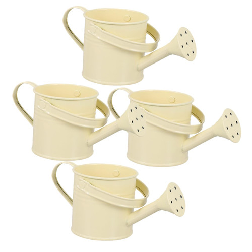 CIMAXIC 4pcs Watering Cans Garden Watering Kettles Household Watering Pot Garden Watering Bottles Garden Sprinkler Can Flowers Succulent Watering Pot Child Tool Iron Multicolor
