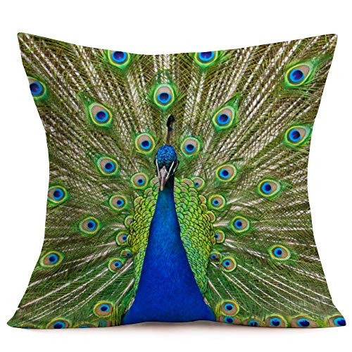Qinqingo Colorful Peacock Feather Throw Pillow Case Cushion Cover Home Sofa Decor Toss Pillow Pillowcases (PF#6)
