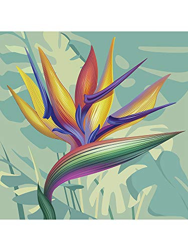 Abbott Collection 88-L-062300 Lg Bird of Paradise Napkin-20PK, Multi