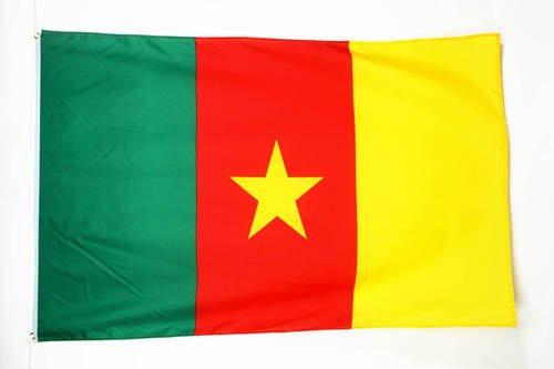 AZ FLAG Cameroon Flag 3' x 5' - Cameroonian Flags 90 x 150 cm - Banner 3x5 ft Light Polyester
