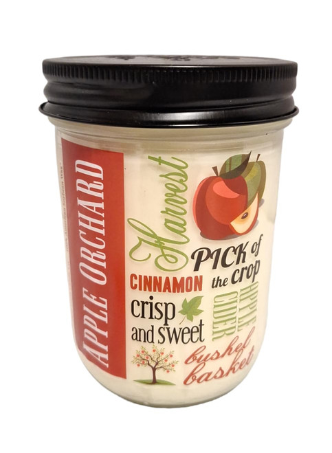 Swan Creek 12 oz Pantry Jar Candle - Sparkling Apple Cider