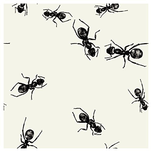 Creative Converting Elise 24 Count 3 Ply Picnic Ants Beverage Napkins, Black/White