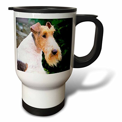 3dRose Giant Schnauzer Travel Mug, 14-Ounce, Stainless Steel