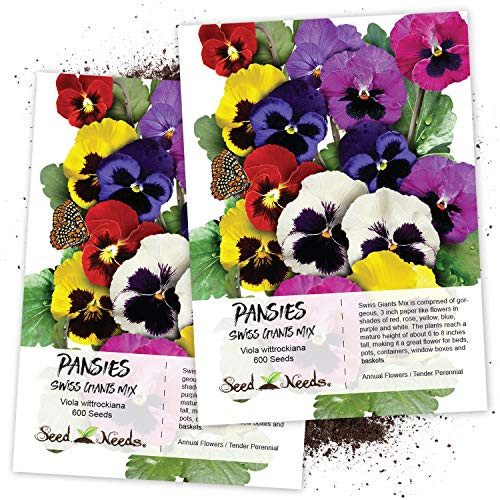 Seed Needs, Swiss Giants Pansy (Viola wittrockiana) Twin Pack of 600 Seeds Each Seed Needs, Swiss Giants Pansy (Viola wittrockiana) Twin Pack of 600 Seeds Each