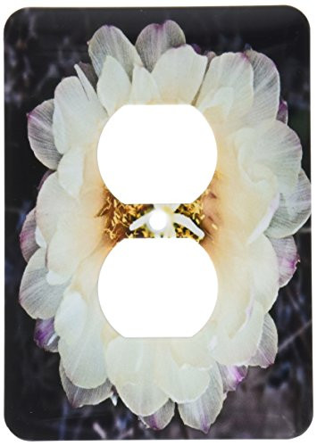 3dRose lsp_32378_6 Decorative colorful garden botanic classic plant SW Southwest Desert cactus white gold flower Outlet Cover