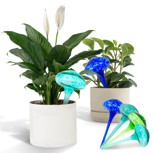 Everbrook Hand Blown Glass - (4) Self Watering Globes - Plant Watering Bulbs - Self Watering Planter Insert - Water Globes for Indoor Plants - Glass Watering Globes for Plants - Self Watering Spikes Everbrook Hand Blown Glass - (4) Self Watering Globes - Plant Watering Bulbs - Self Watering Planter Insert - Water Globes for Indoor Plants - Glass Watering Globes for Plants - Self Watering Spikes