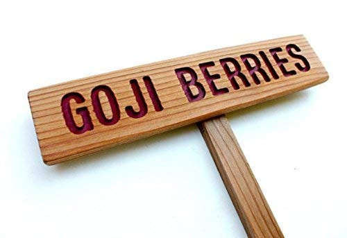 GOJI BERRIES Garden Marker, Fruit Signage, Plant Signs, Wooden Fruit Marker, Custom Garden Sign, Personalized Garden Marker, Outdoor Sign