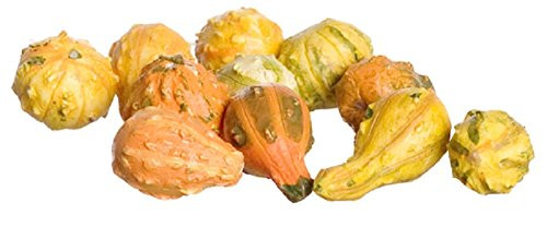 Falcon Miniatures Dollhouse Miniature Handmade Decorative Squash