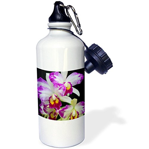 3dRose wb_9018_1"ORCHID GG" Sports Water Bottle, 21 oz, White