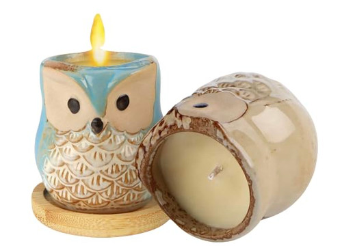 2 Mini Ceramic Owl Candles (Amber Oakmoss) Reusable Succulent Plant Pot