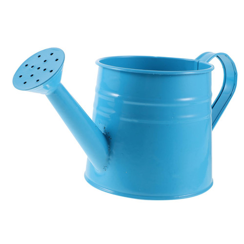 NOLITOY 3pcs Tin Flower Watering Kettle Vintage Plant Watering Bucket Garden Water Pot Bonsai Watering Pot Flower Pots Plants Spray Watering Pot Indoor Iron Large Watering Can