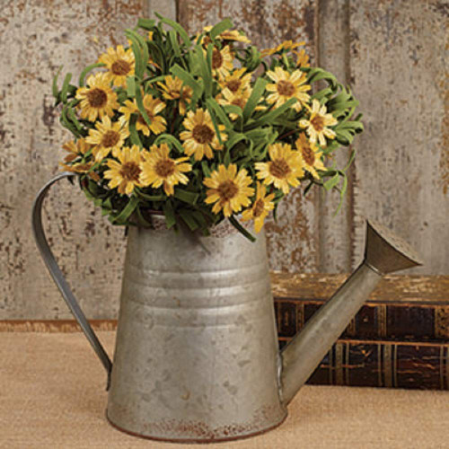 The Country House Collection 30559 Watering Can, 11-inch Height, Tin