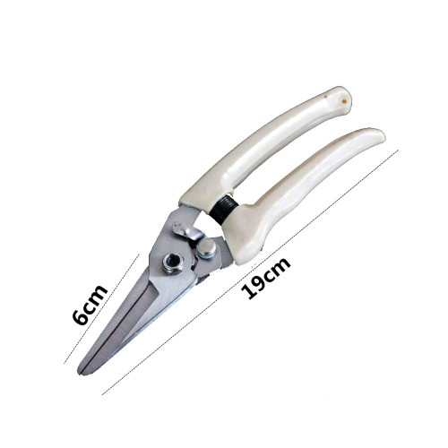 TELLW Pruning and Shearing Horticultural Fruit Scissors Grape Shearing Betel nut Shear Fruit Tree Orange Rare Fruit and Vegetable Fruit Shear Flower Garden Tool