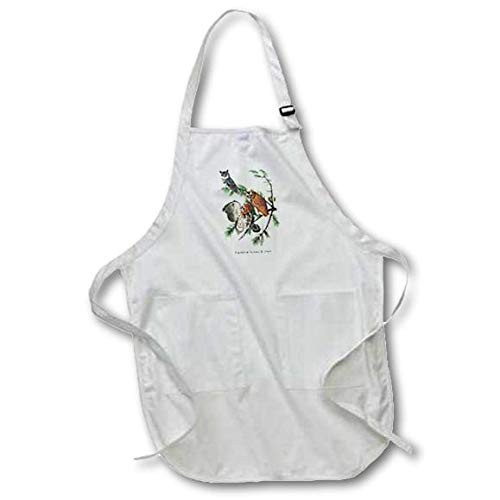 3dRose apr_114062_2 Eastern Screech Owl by John James Audubon Medium Length Apron, 22 by 24", with Pouch Pockets 3dRose apr_114062_2 Eastern Screech Owl by John James Audubon Medium Length Apron, 22 by 24", with Pouch Pockets