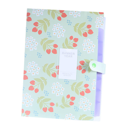 Cabilock 4PCS Accordion Folder Expandable File Folder File Storage Folder Accordian Folder File Folder Organizer Concertina Folder Accordion Document Organizer Divider a4 Material