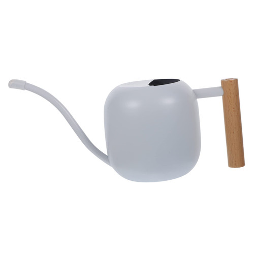 EXQUIMEUBLE Watering Can Small Plants Plant Mister Indoor Plants Garden Watering Bottles Outdoor Plants Plant Potted Kettle Watering Flower Kettle Household White Watering Pot Stainless Steel