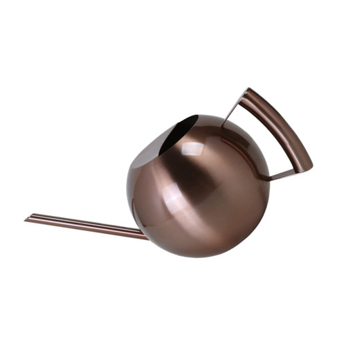 BUTIFULSIC sprinkling kettle mini plant watering can bonsai watering pot plants watering sprayer succulent watering kettle metal spray bottle Flower Gardening Tool spherical sprinkler bottle