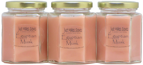 3 Pack - Egyptian Musk Scented Blended Soy Candles | Hand Poured in The USA by Just Makes Scents