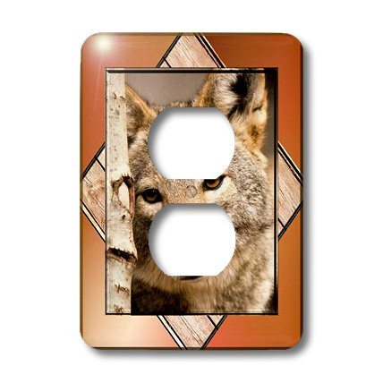 3dRose LLC lsp_21322_6 Wolf Resting Against a Tree, 2 Plug Outlet Cover