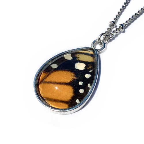 Recycled Monarch butterfly wing necklace Real butterfly necklace Ethically sourced Preserved butterfly in glass terrarium pendant Pressed flower necklace Handmade jewelry t w