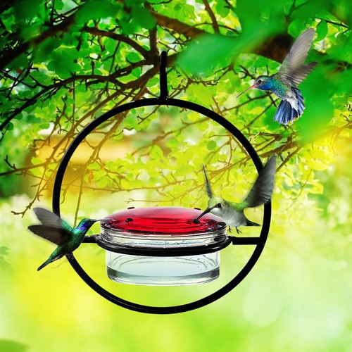 (3pcs) Humming Bird Feeders for Outdoors Hanging, Leak Proof Circular Hanging Humming Bird Feeder, Humming Bird Feeders for Outside Garden Patio Backyard, Patio & Deck (Color : 3pcs)
