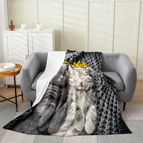 Lovely Cat Plush Throw Blanket, Animal Print All Season,Bed Blanket Cats Pattern Flannel Fleece Blanket Grey Cute Kitten for Kids Boys Girls Twin 60"x80" Lovely Cat Plush Throw Blanket, Animal Print All Season,Bed Blanket Cats Pattern Flannel Fleece Blanket Grey Cute Kitten for Kids Boys Girls Twin 60"x80"