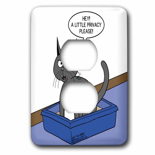 3dRose LSP_42880_6 Cat Courtesy Outlet Cover