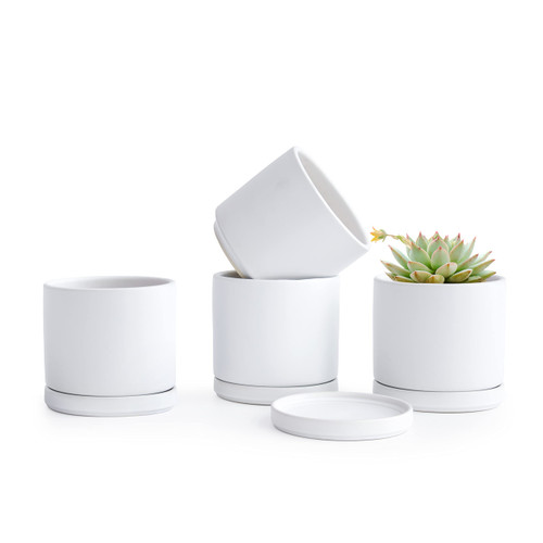 D'vine Dev Set of 4 Small Ceramic Plant Pots, 4.6 Inch Succulent Planter Pot for Plants with Drainage Hole and Saucer, White, 94-F-XS-1