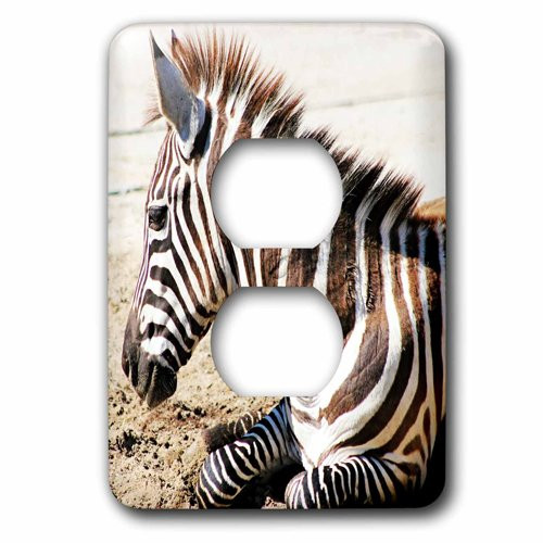 3dRose lsp_218443_6 Zebra Popular image 2 Plug Outlet Cover