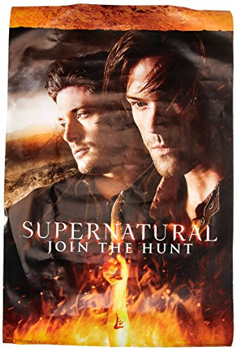 Trends International Supernatural Fire Wall Poster 22.375" x 34"