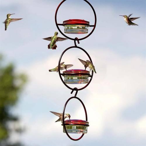 Humming Bird Feeders - Humming Bird Feeders for Outdoors Hanging, Leak Proof Circular Hanging Humming Bird Feeder, Humming Bird Feeds for Outside Garden, Backyard, Patio & Deck (2 Pcs) (Color : 3 Pcs