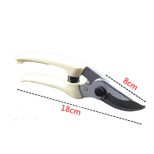TELLW Pruning Scissors Grape Orange Picking Fruit Shearing Fruit Tree Rough Branch Shears Trim Branches Garden Tool Flower Scissors Horticultural Scissors