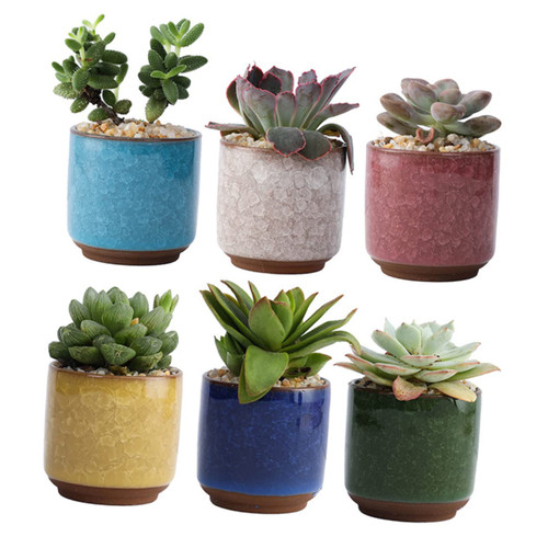 CIMAXIC 6pcs Ceramic Flower Pot Pots for Plants Pots for Succulents Mini Pots Plant Pot Mini Succulent Plants Succulents Pots Cactus Pots Succulent Basin Office Clay Pot Ceramics