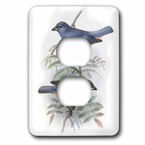 3dRose lsp_202341_6 Vintage Blue and Peach Birds 2 Plug Outlet Cover, Multicolor