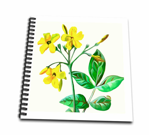 3dRose Carolina Jasmine Botanical Art Cut Out - Drawing Books (db-378405-2) 3dRose Carolina Jasmine Botanical Art Cut Out - Drawing Books (db-378405-2)