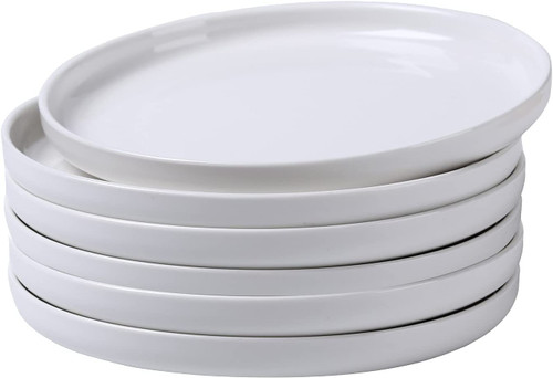 FUSHENGDA Ceramic Dinner Plates Set of 6, 9.8 Inch Dish Set, Porcelain Dessert Plates, Pizza Pasta Round Ceramic Serving Plate Set Dessert Plates, Ceramic Salad Plates, White Dinner Plates (9.8 inch)
