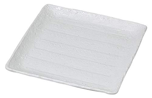 Powdered Glaze 9.1 inches (23 cm) Square Plate [9.1 x 9.1 x 0.9 inches