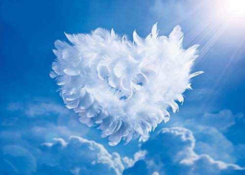 LYWYGG 7x5FT Father's Day Background Blue Sky Photography Backdrops Feather Love Backdrop Express Love Background Sky3ds Photography Studio Backgrounds CP-114