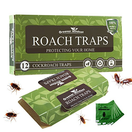 Greener Mindset 12 Pack Cockroach Traps with Bait Included | Premium Glue Trap | Eco-Friendly | Non-Toxic | Chemical Free | Spiders Ants Roach Killer