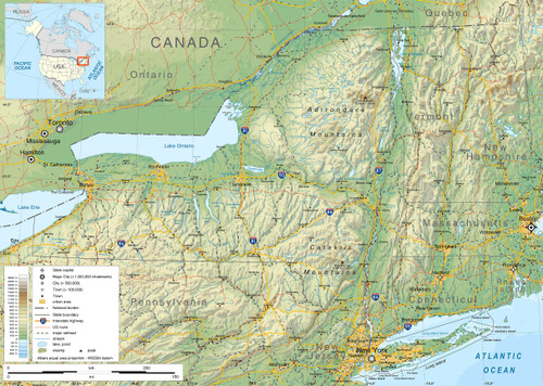 Wall Art Impressions 24"x34" New York State Geographic Map English ?Rolled Canvas?