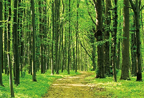 CSFOTO 5x3ft Background Green Forest Photography Backdrop Woods Groves Summer Spring Natural Scenery Fresh Grass Greenery Hiking Holiday Vacation Tour Photo Studio Props Polyester Wallpaper