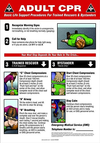 Adult CPR Basic Life Support PROCEDURES for Trained Rescuers & BYSTANDERS