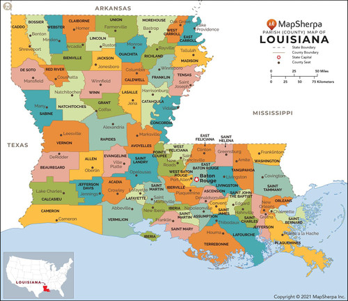 Louisiana Parishes (Counties) Map - Standard - 36" x 31.25" Art Quality Print