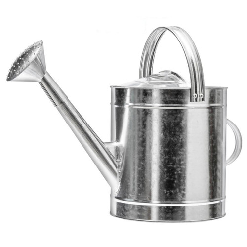 EXCEART Small Plants Outdoor Fogger Houseplant Metal Plants Watering Can Indoor Small Metal Watering Can Water Can Outdoor Plants for Outside Indoor Watering Can Succulents Spout Iron