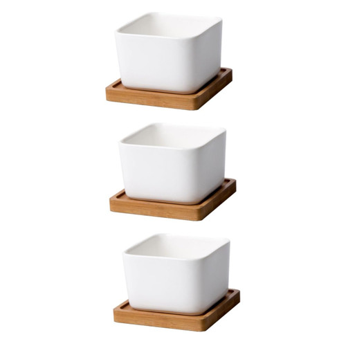 NOLITOY 3pcs Artificial Succulent Container Square Succulents Planter Planters for Indoor Plants Cactus Plant Pot Mini Flower Pot Square Vase Mini Vase Succulent Plant Potted Cup Cartoon