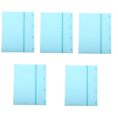 Ciieeo 5pcs A3 Folder File Organizer Coupon Plastic Document Organizer Business File Transparent Document Bag Folders Plastic Portable Receipts Folder Major Office Storage Bags