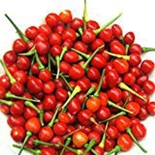 Wiri Wiri Hot Pepper Seeds - A Variety from Guyana. Very Hot!!!!!!!(50 - Seeds) Wiri Wiri Hot Pepper Seeds - A Variety from Guyana. Very Hot!!!!!!!(50 - Seeds)