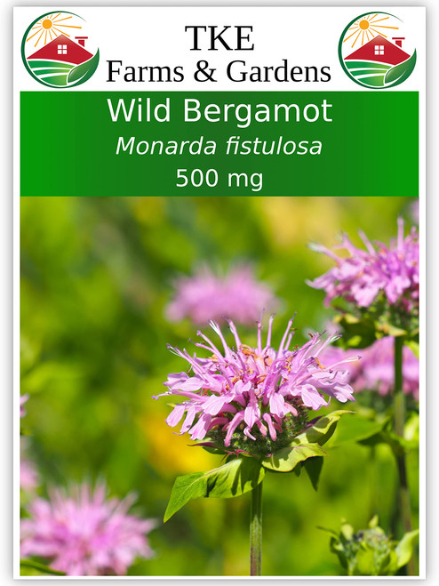 TKE Farms - Wild Bergamot Bee Balm Seeds for Planting, 500mg Approx. 1000 Seeds, Monarda fistulosa, Heirloom, Non-GMO