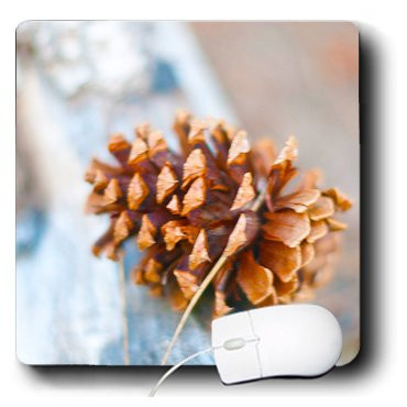 3dRose LLC 8 x 8 x 0.25 Inches Mouse Pad, A Close Up of A Pine Cone in Dixie National Forest in Utah (mp_64194_1)