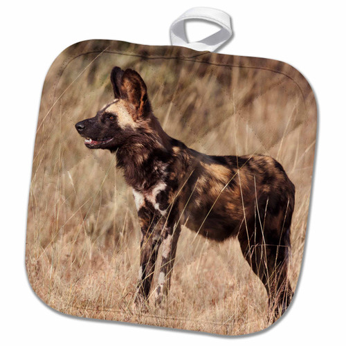 3D Rose Cape Elephant Shrew-Bushmans Kloof-South Africa-Af42 Rbe0003-Ralph H. Bendjebar Pot Holder, 8" x 8"